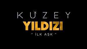 Kuzey Yıldızı İlk Aşk 47.Bölüm izle