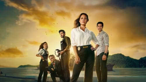 Deniz Kuvvetleri Kriminal Soruşturma 1.Sezon 3.Bölüm Türkçe Dublaj izle