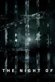 The Night Of izle 
