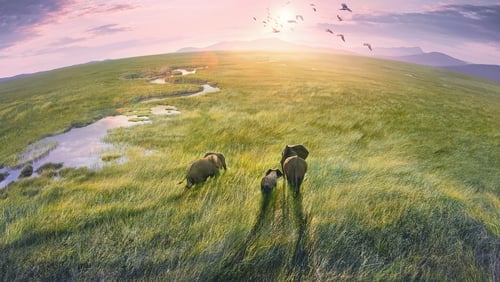 Planet Earth III 1.Sezon 4.Bölüm izle