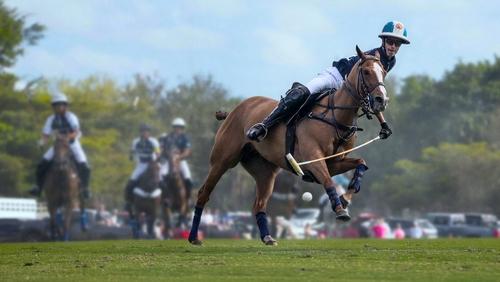 Polo 1.Sezon 1.Bölüm izle