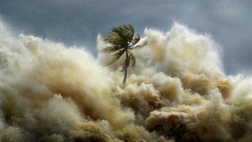Tsunami: Kıyamet Dalgaları 1.Sezon 1.Bölüm izle