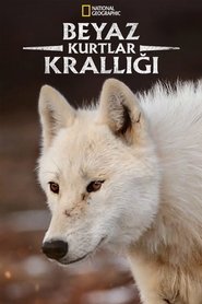 Kingdom of the White Wolf izle 