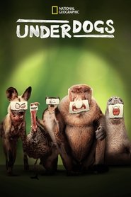 Underdogs Türkçe Dublaj izle